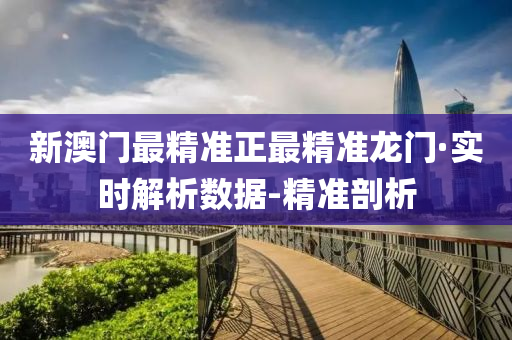新澳最精准正最精准龙门,详细解答、解释与落实
